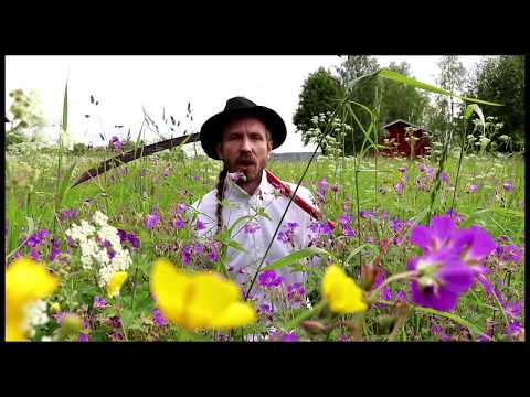 Video: Hur Väljer Man Rasen 