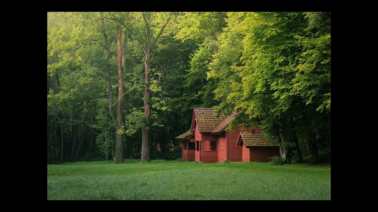 Backrooms Ambience. (Level 614)