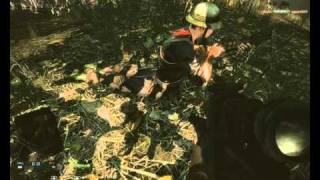 Battlefield Bad Company 2   Vietnam Bug