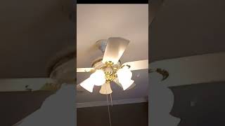 Celebrity Incandescent Light Bulb BREAKS Wealth