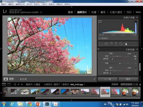 Lightroom基礎修圖-分割色調