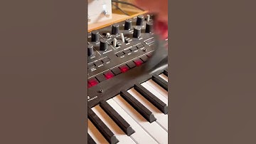 A constant reminder #cleaning #asmr #synth #satisfying #moogaudio #shorts