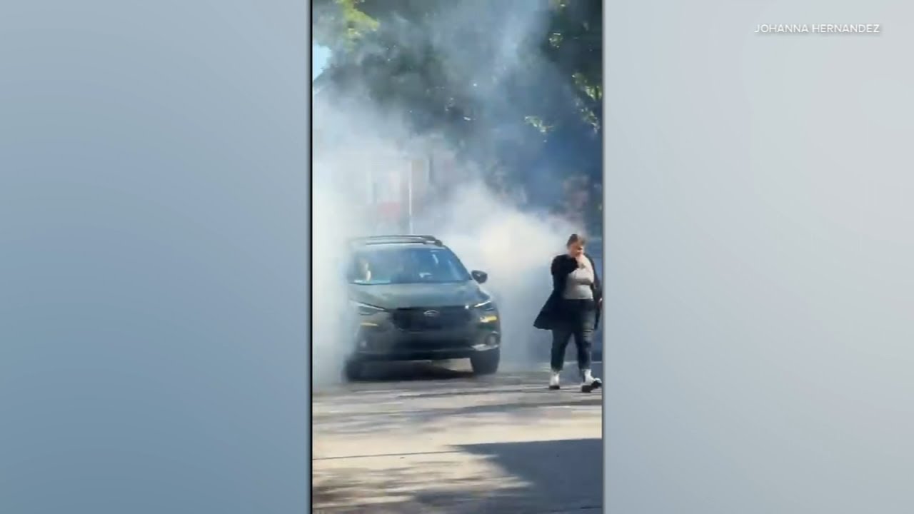 IL sues Trump admin. seeking to limit immigration agents' authority