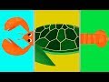 Animals Match Up - Children Play & Learn The Names Of Sea Animals - Fun Educational Baby Games