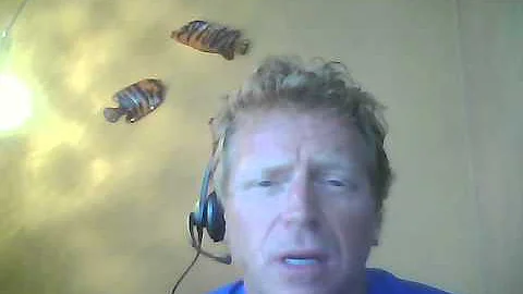 What are your Undesirable Effects?