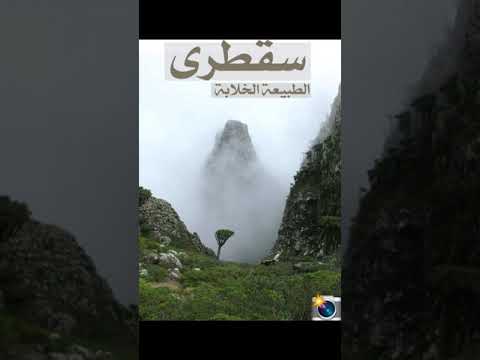 إملؤ الدنيا إبتساما للفنان ايوب طارش مع اجمل الصور