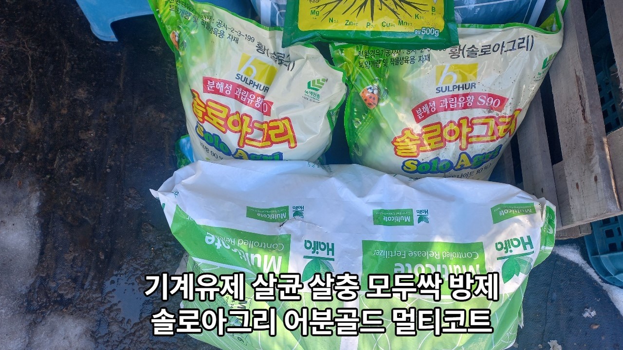 블루베리 동계방제 #블루베리키우기 #기계유제 #살균 #살충제 #블루베리재배