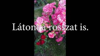 Face To Face Családi Kapcsolataink.