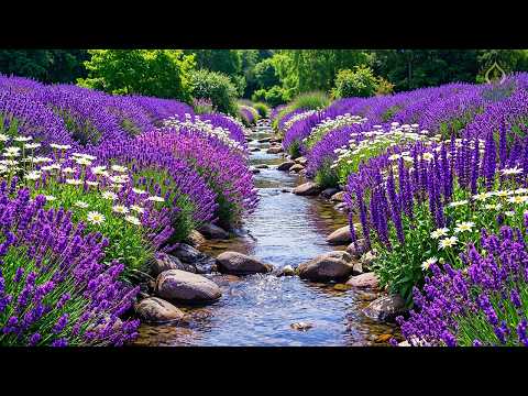 (No Ads) Heart Healing Relaxation 🌿 Gentle Music to Calm Anxiety & Restore Inner Balance