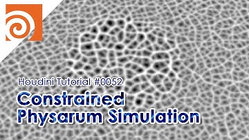 [Houdini Tutorial] #0052 Constrained Physarum Simulation