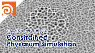 [Houdini Tutorial] #0052 Constrained Physarum Simulation
