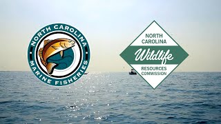 New NC Fishing Law: What EVERY Angler Needs to Know. Recreational and Commercial.!!