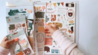 *Crate Paper Magical Forest* Detailed Walkthrough