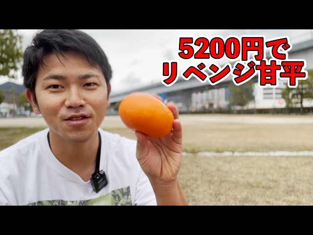 みかんです。 冷凍わっ美柑 30個入り 和歌山県産 紀州産 冷凍みかん 温州