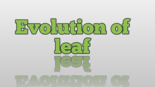 Evolution of Leaf