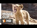 Se The Lion King 2019 Streame Filmer På Nett Norske Gratis