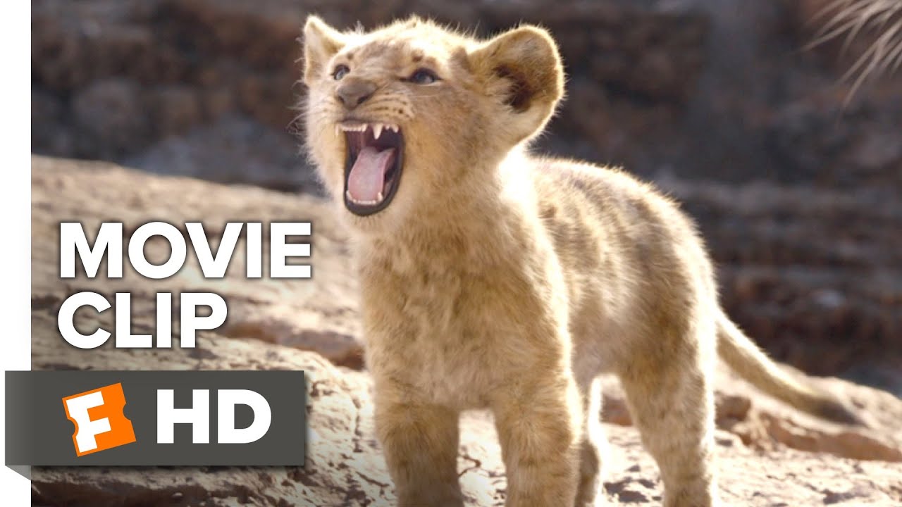 Watch A 'Real-Life Simba' Mount A Rock And Let Out An Epic Roar