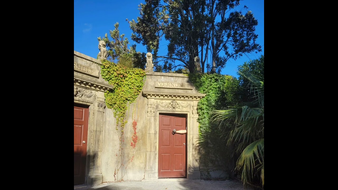 Picturesque Gardens Hamilton & some Trial & Tribulation shots.