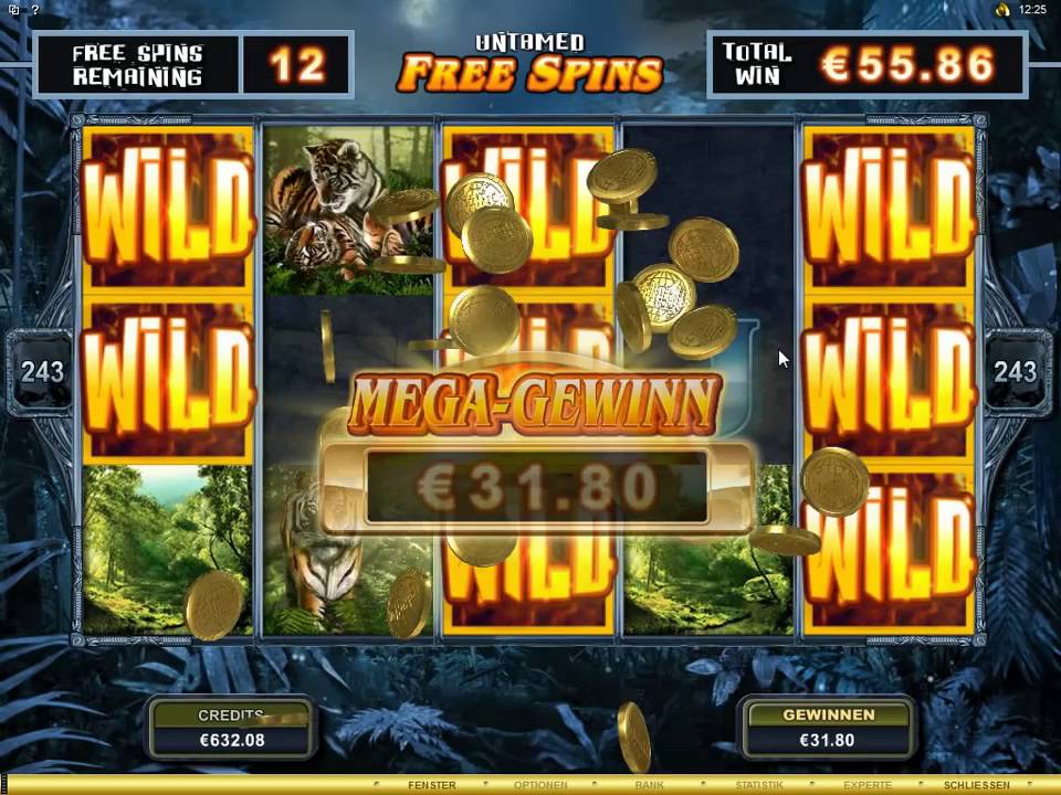 Video slot Conan the Barbarian Video slot Conan the Barbarian