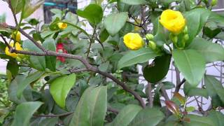 20120501.wmv