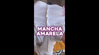 Tira Mancha Amarela (Suor) das Camisetas #shorts