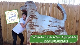 Season 2 Ep 13 Make Yourself At Home with Fetch A Cure