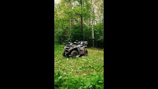 Электроквадроцикл: будущее или игрушка?