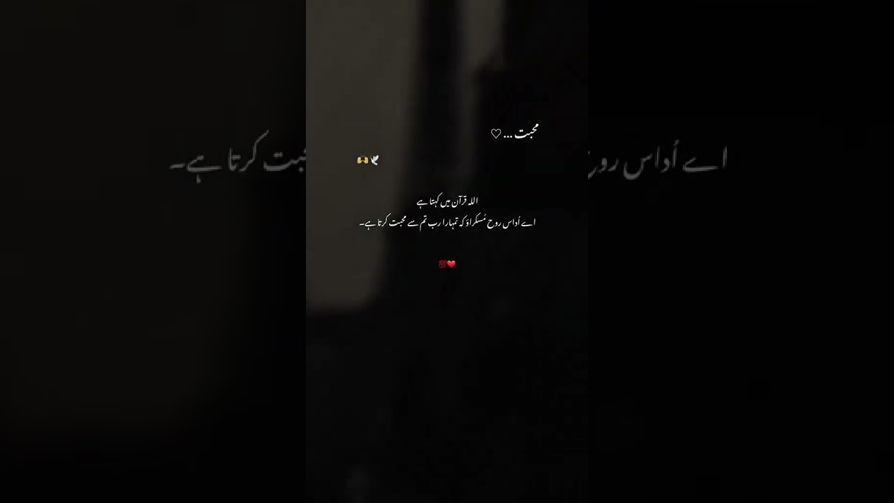 Mashallah Beautiful 😍❤️❤️❤️❤️❤️❤️