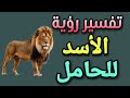 Interpretation Of Seeing A Lion In A Pregnant Woman S Dream According To Ibn Sirin And Its Relati 