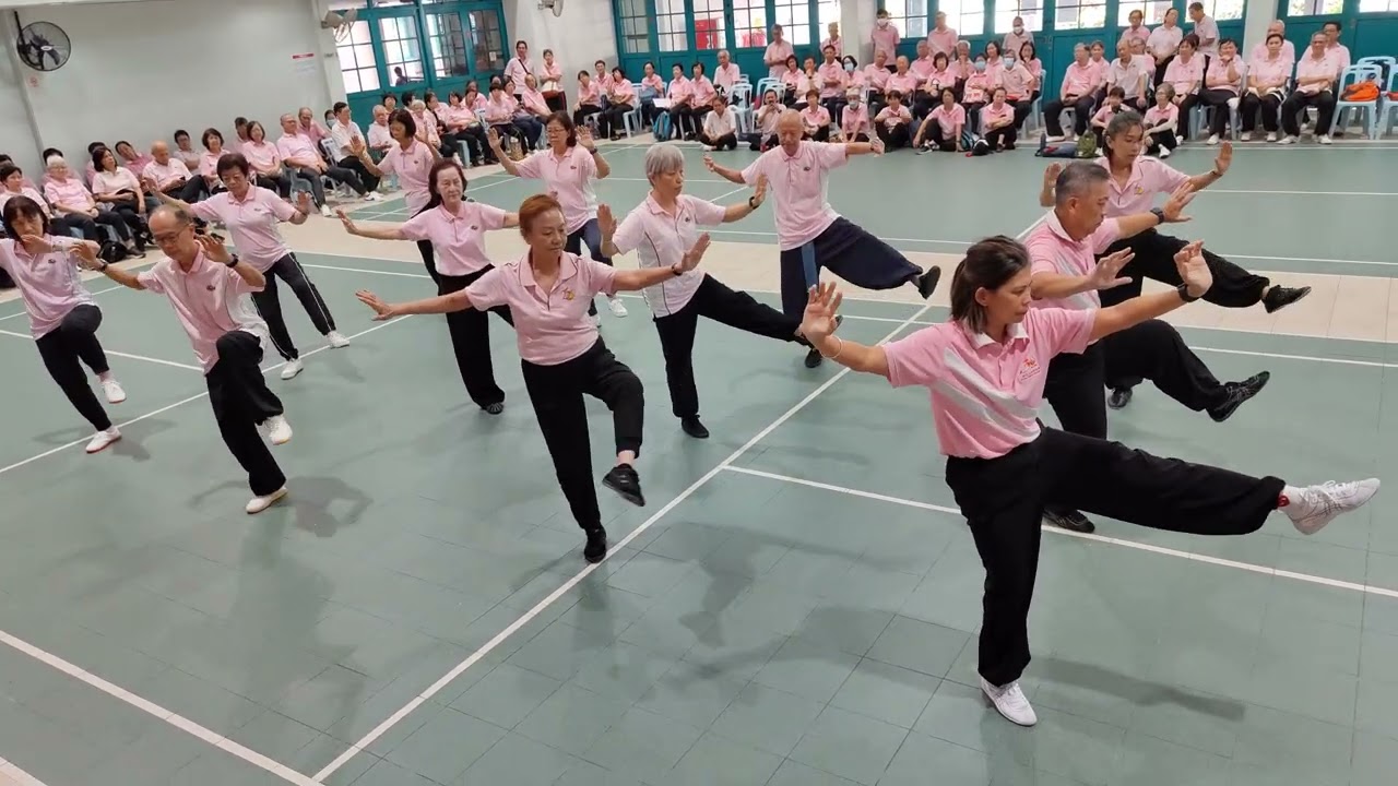 Tai Chi 42 Form / 42式太极拳| Shin Zhong Taijiquan Association