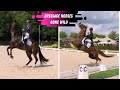 Grand prix dressage horses gone wild katherine bateson  anouk noordman