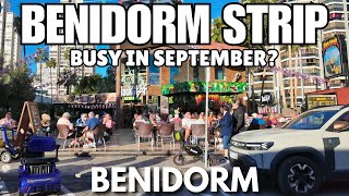 Benidorm Strip in December: Totally DEAD or JAM-PACKED?! 🤔🍺