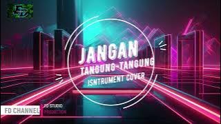 (JANGAN TANGUNG TANGUNG) instrument cover