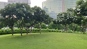 ngày 27 tháng 6, 2021