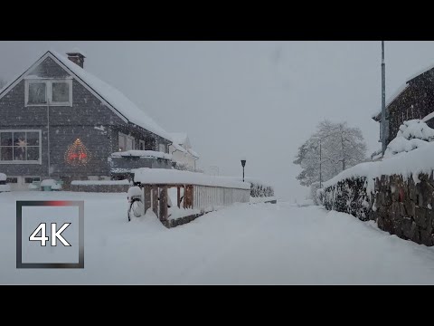 Wideo: Gdzie jest Lucia podczas opadów śniegu?