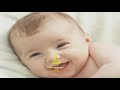 شيلة بشارة  قدوم مولود | يامرحبا نورت  ياضيف غالي تنفذ بالاسماء