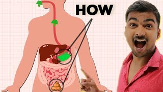 कैसे भोजन पेट में पचता है | Digestive System (पाचन तंत्र)