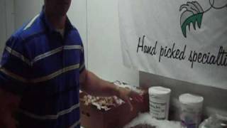 Fresh Shrimp Today at Wild Edibles Seafood