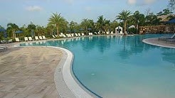South Naples Real Estate Winding Cypress Naples Resort Style Pool and Bar Area 