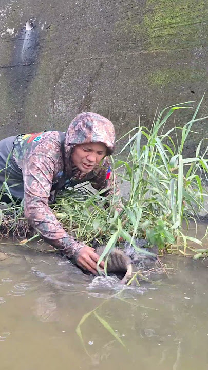 Napakalupit Mandakma ng Tilapia Easy Catch#fishingmethods #just4u