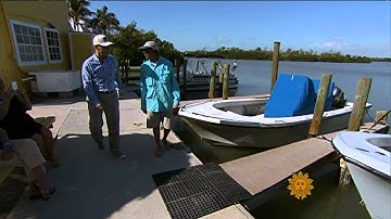 A seashell hunter