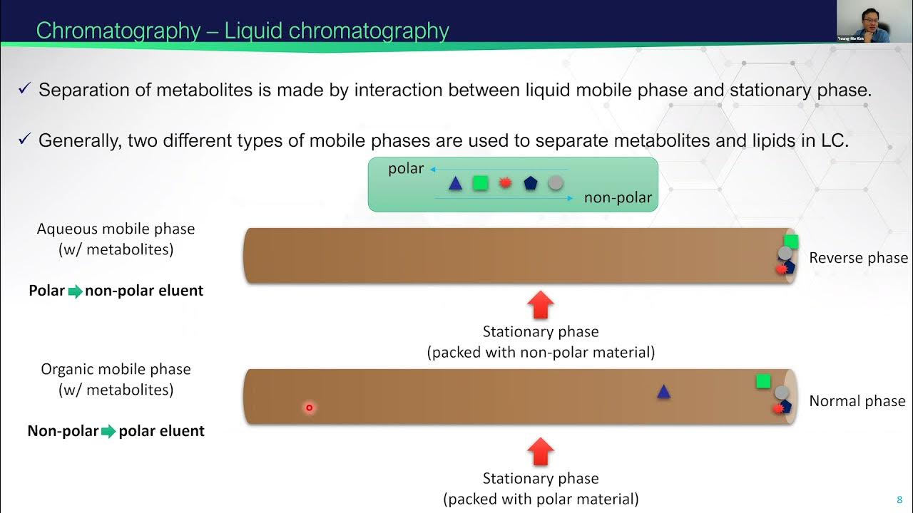 EMSL Summer School Mass Spectrometry based Metabolomics YouTube