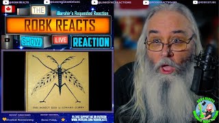 Video thumbnail of "Reaction - The Insect God by Robert Wyatt - First Time Hearing - Requested"