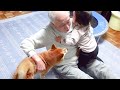 ２歳娘と柴犬を同じように溺愛してくれるじーじとばーば｜犬と子供のvlog