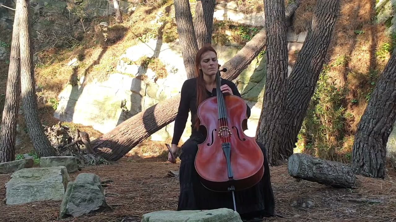 All I Think About Now/The  Pixies- cello cover live