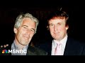 MAGA In Disarray Fallout Over Trump And The Epstein Files Continues MAGA In Disarray Fallout Over Trump And The Epstein Files Continues