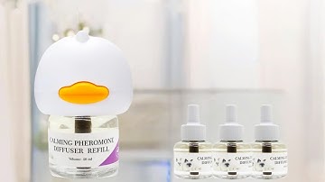 How to Calm Anxious Cats – Reduce Scratching & Stress with Pheromone Diffuser