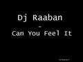 Dj Raaban - Can You Feel It