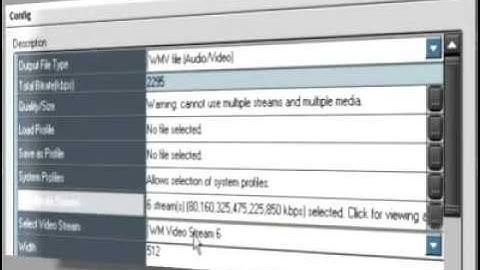 08.03. Output for Internet Streaming [EDIUS 4]