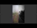 Editing moments with darktable 2.6.2 Episode 19: Into the mist